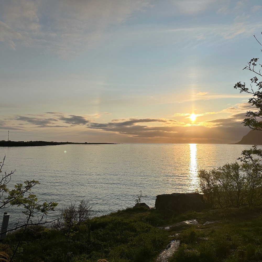 Meet your Posher, Joanie